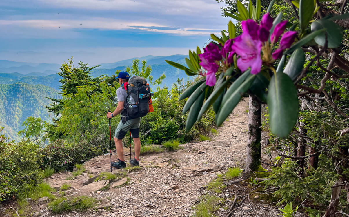 great smoky mountains excursions local fauna inline - Himalayan Institute