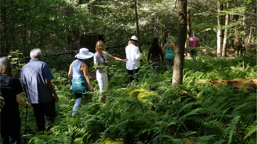 Guided Hike on Campus