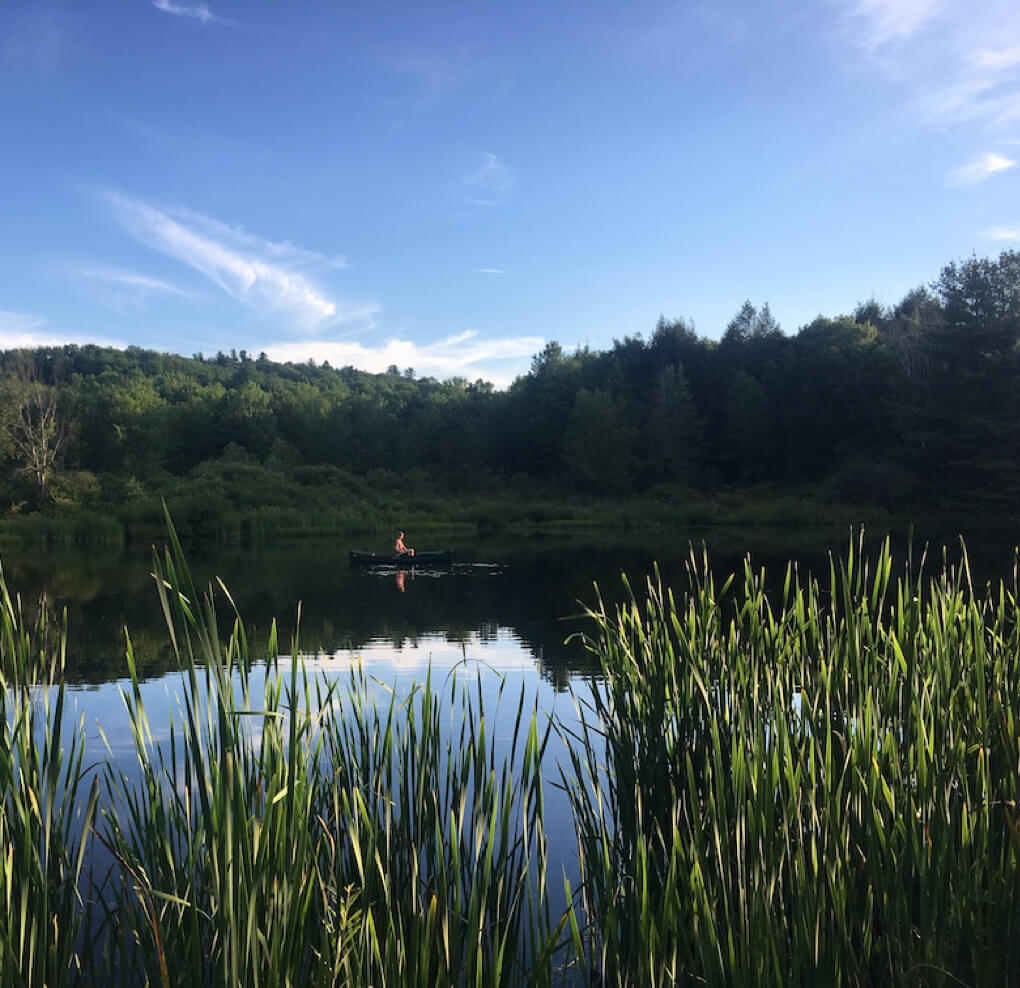 relaxing on the HI pond - Himalayan Institute